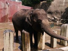 -大连森林动物园