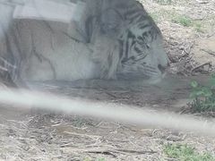 -秦皇岛野生动物园