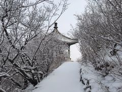 -香山公园