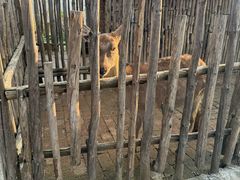 -白鹿原影视城