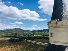 -北京张裕爱斐堡酒庄