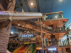 -卡通尼·Safari非洲探索乐园·生日会(金桥国际商业广场店)