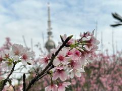 -文华公园(禅城区)