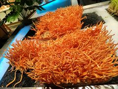 -V-ONE西雅图海鲜自助餐厅(仓山万达广场店)