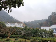 -黔灵山公园
