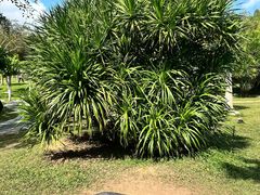 -三亚南山文化旅游区