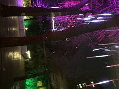 唐廊(工体店)-唐廊烤鸭店(工体店)