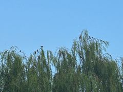 -艾溪湖湿地公园