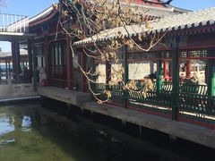景点-什刹海