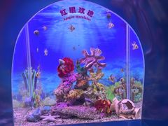 -秦皇岛新澳海底世界