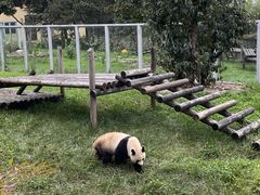 -西安秦岭野生动物园