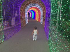 -顺鑫绿色度假村