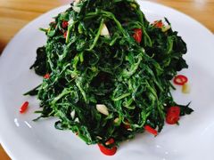 枸杞苗-三益轩(总店)