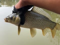 -酷鱼垂钓CLUB(朝阳区博大路店 )