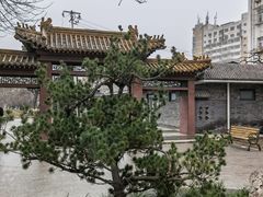 -桃花堤公园