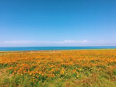 -青海湖国家重点风景名胜区