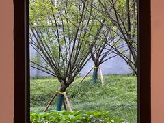 -新华日报营业部旧址