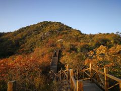 -大岭沟猕猴桃谷风景区