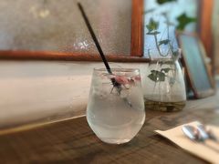 樱花盐汽水-MAISON门前杂货店