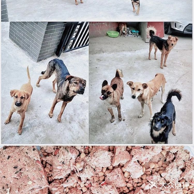 闪婚的大龄青年，2月13日领证一周年快乐。