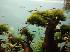 -多彩贵州城极地海洋世界