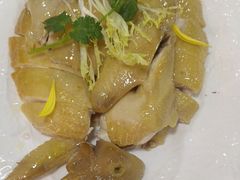 -明本湛江鸡•海鲜小厨(陈家祠店)