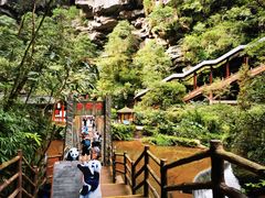 -中国大熊猫保护研究中心雅安碧峰峡基地