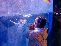 -海合安成都极地海洋公园
