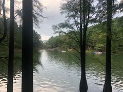 -四明山国家森林公园