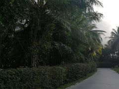 -三亚亚龙湾雅高美爵酒店