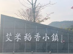 -艾米稻香小镇