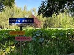 -洛阳市隋唐城遗址植物园