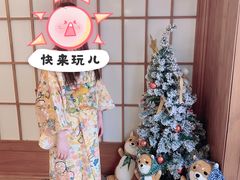 -豆柴町-柴犬主题狗咖(红鼎国际C座店)
