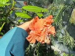 -国家植物园南园