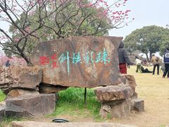 -无锡梅园公园