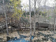 -济南马套将军山