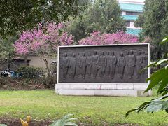 -武汉大学-樱园