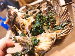 -多哥水傣味餐厅(司马巷店)