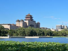 -莲花池公园
