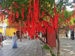 -西安青龙寺遗址景区