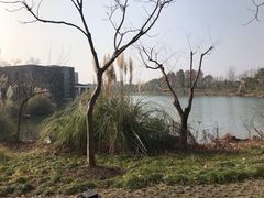 -上海怡沁园度假酒店