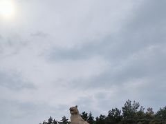 -帽儿山国家森林公园