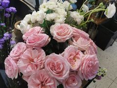 -L.C FLORA花予你(城西银泰城店)