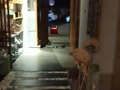 -泰·菩提树下[泰式按摩x精油SPAx肩颈头疗](新景店)
