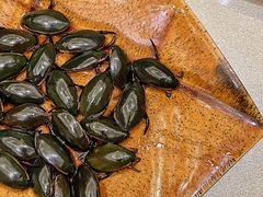 白灼龙虱-沙龙酒家