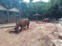 -昆明动物园