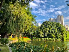 -荔湾湖公园