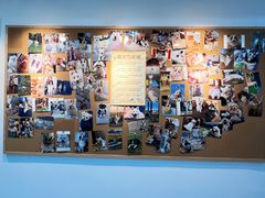 -翊宠yipet猫狗购宠庄园犬舍•猫舍