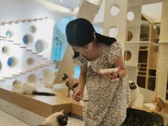 -猫域·湾主题猫咖·宠物吧(南坪城市广场店)