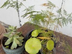 -里外院(宽窄巷子景区店)